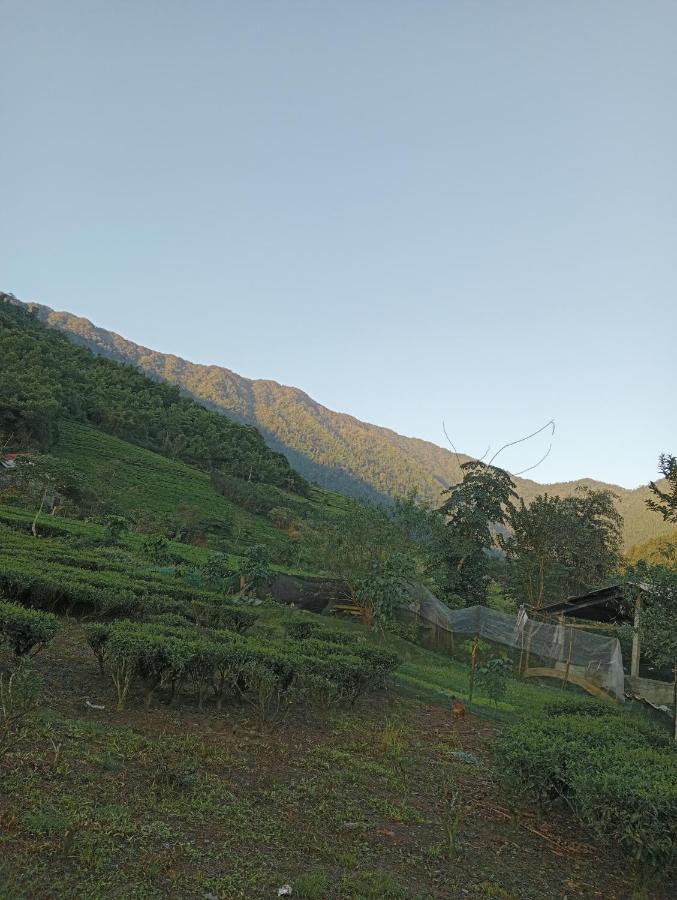 La Bang Homestay La Cam Exteriér fotografie
